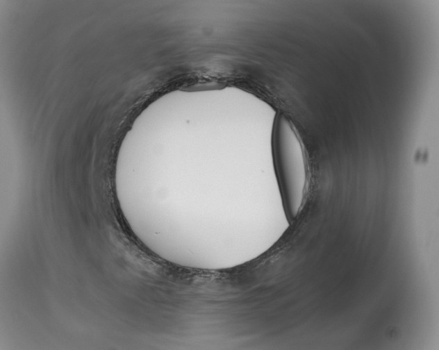 X0000114021345200910231828