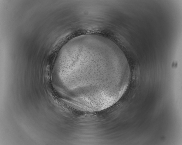 X0000114021346200910231828