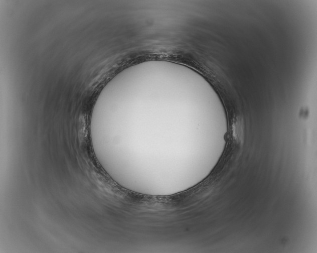 X0000114021347200910231828