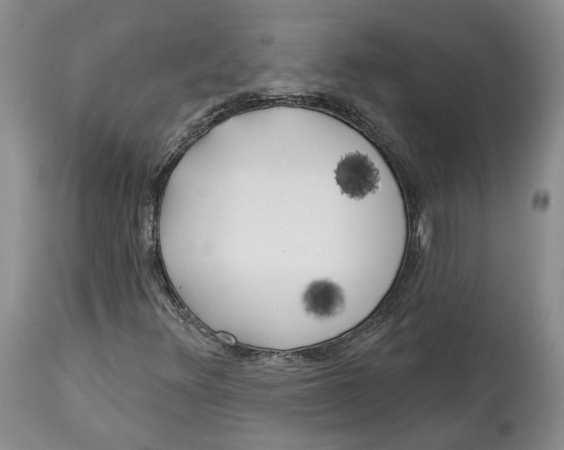 X0000114021348200910231828