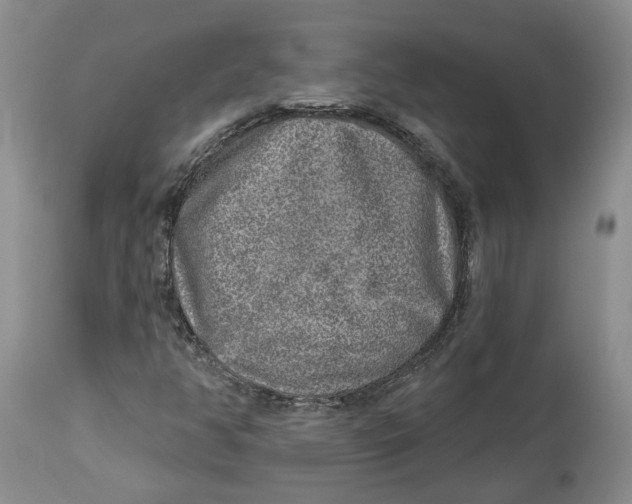 X0000114021350200910231828