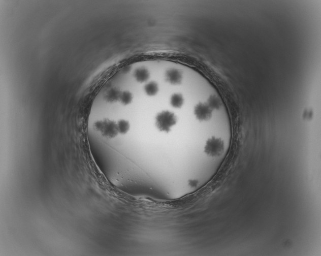 X0000114021351200910231828