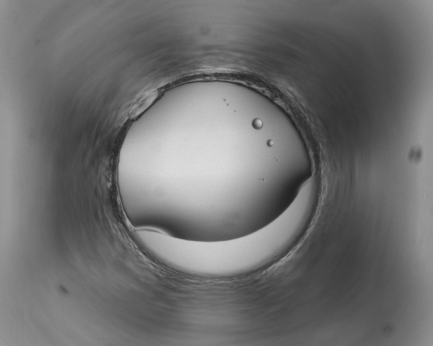 X0000114021353200910231828