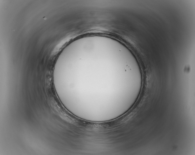 X0000114021355200910231828