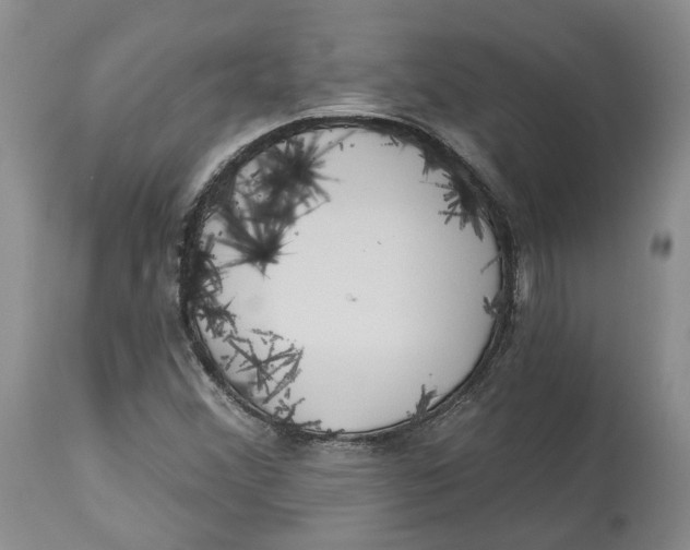 X0000114021356200910231828