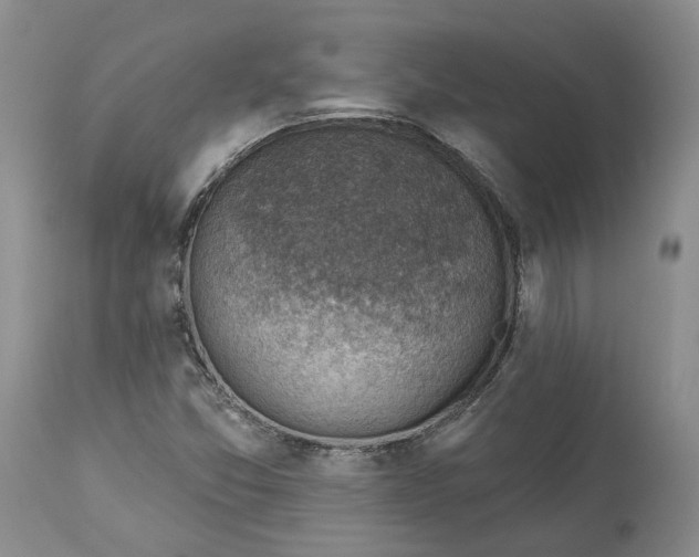 X0000114021357200910231828