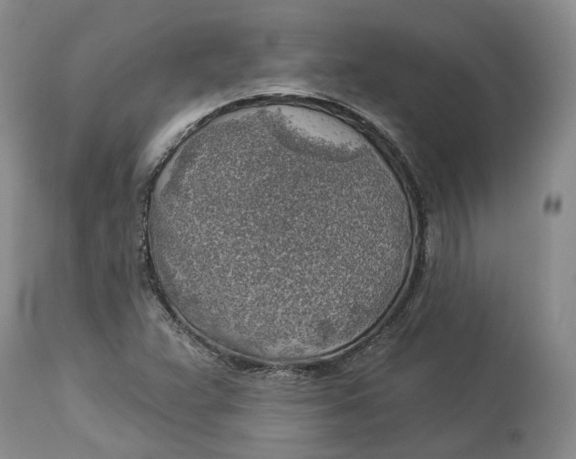 X0000114021359200910231828