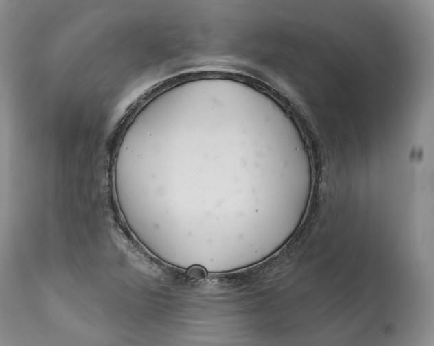 X0000114021360200910231828