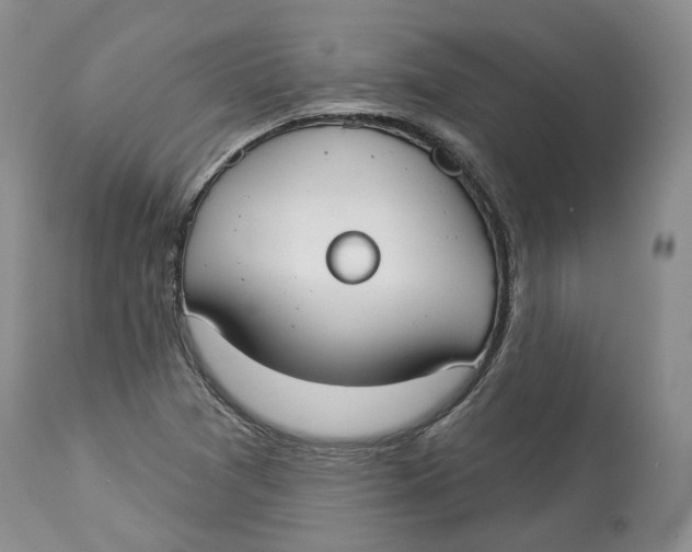 X0000114021361200910231828