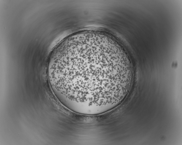 X0000114021362200910231828