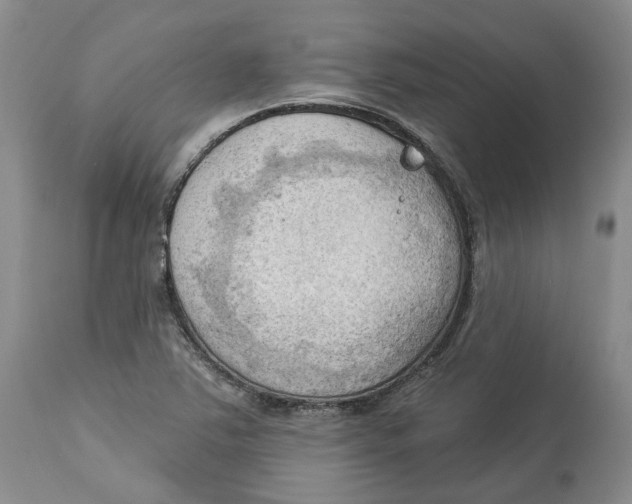 X0000114021363200910231828