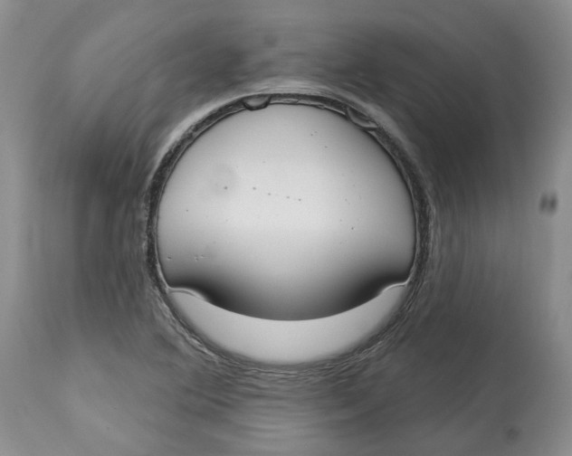 X0000114021364200910231828