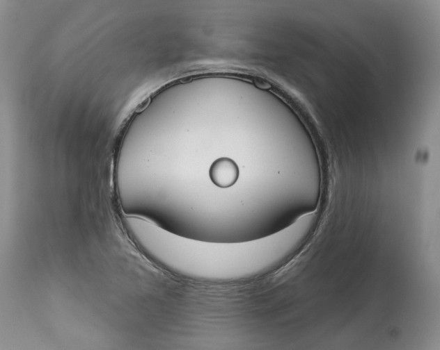 X0000114021365200910231828