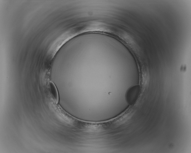 X0000114021369200910231827