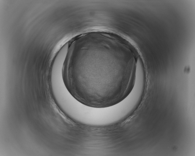 X0000114021373200910231827