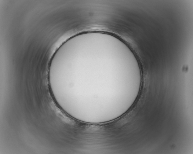 X0000114021374200910231827