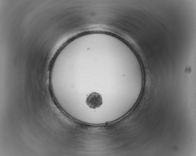 X0000114021376200910231827