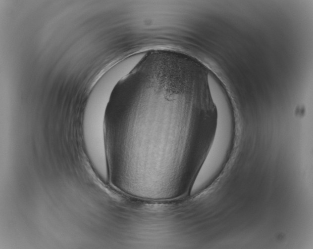 X0000114021377200910231827