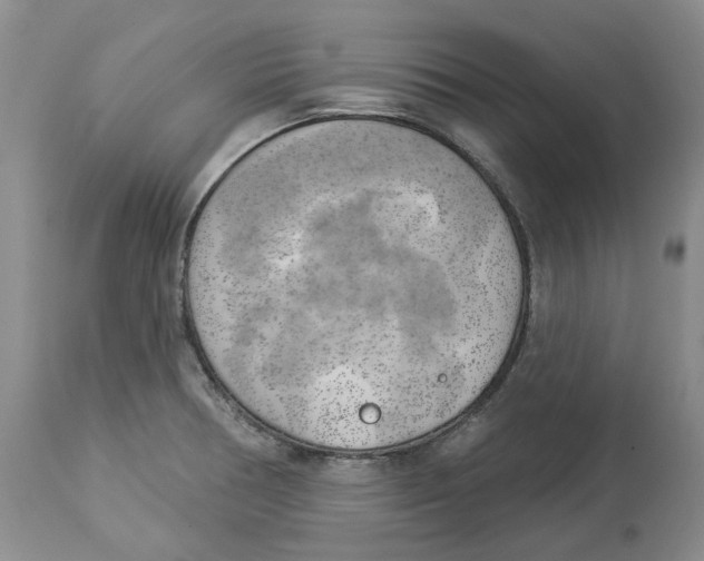 X0000114021378200910231827