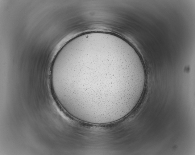 X0000114021379200910231827