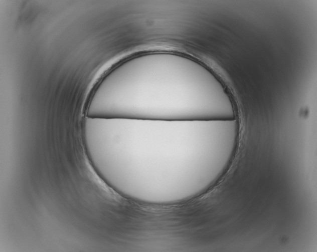 X0000114021380200910231827