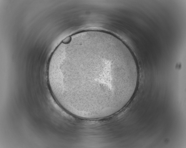 X0000114021382200910231827