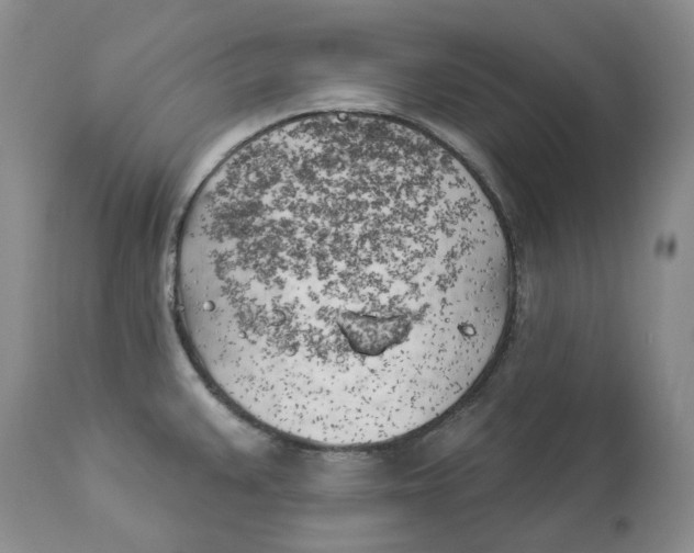 X0000114021383200910231827