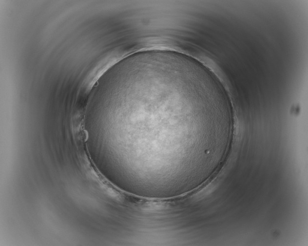 X0000114021385200910231827