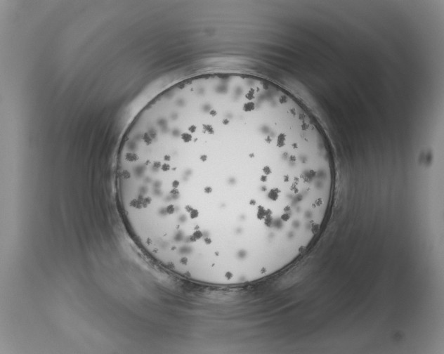 X0000114021386200910231827