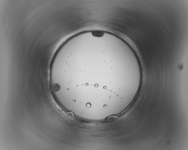 X0000114021388200910231827