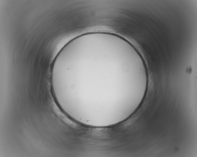 X0000114021390200910231827