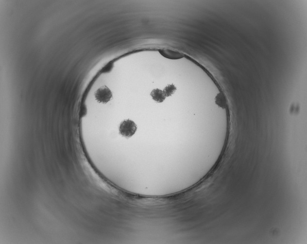 X0000114021392200910231827