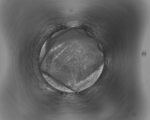 X0000114021393200910231826