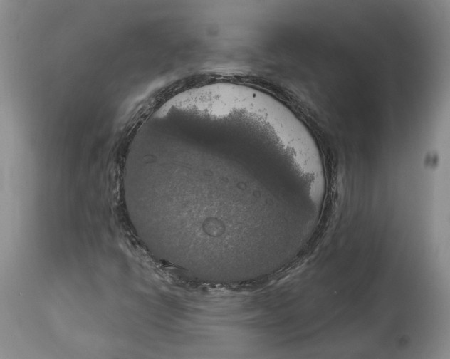 X0000114021398200910231827