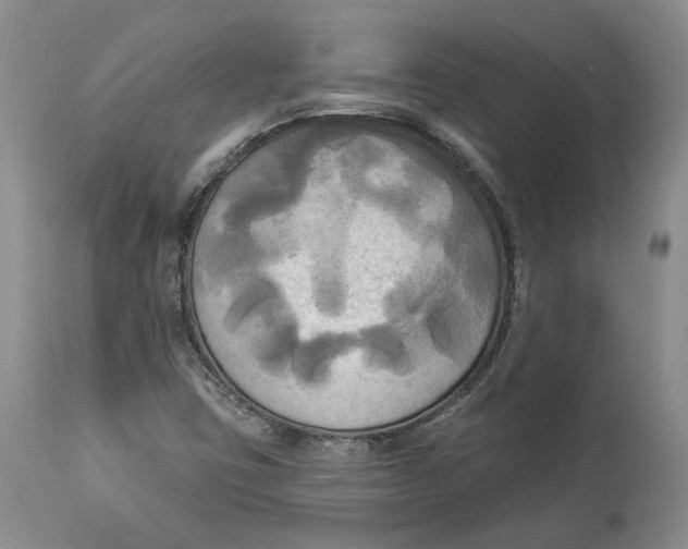 X0000114021403200910231827