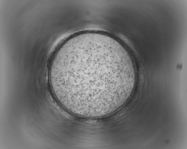 X0000114021408200910231827