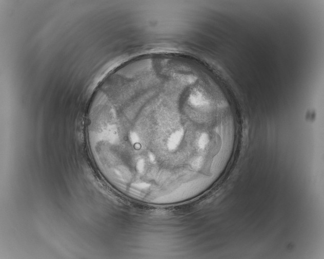 X0000114021409200910231827