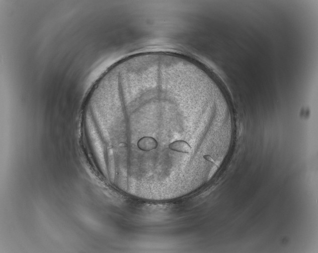 X0000114021415200910231827