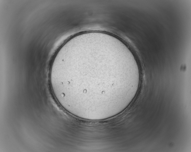 X0000114021416200910231827