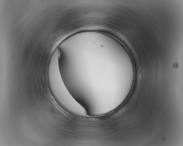 X0000114021417200910231827