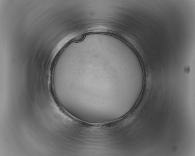 X0000114021418200910231827