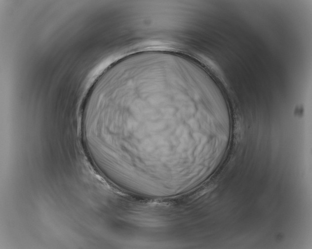 X0000114021419200910231827