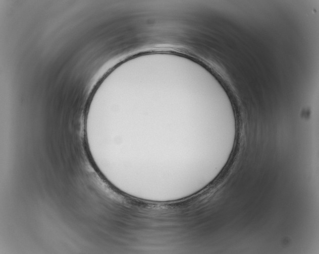 X0000114021420200910231827