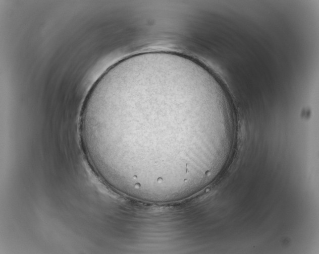 X0000114021423200910231827