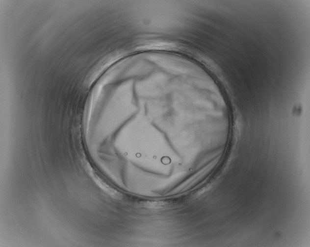 X0000114021425200910231827