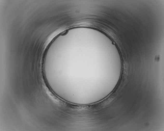 X0000114021426200910231827