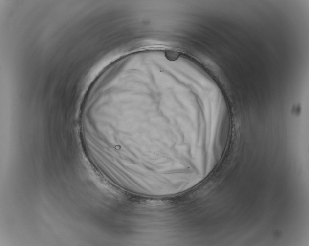 X0000114021427200910231827