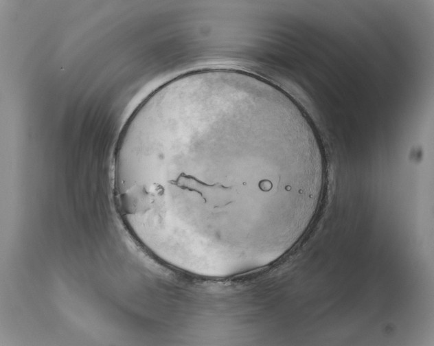 X0000114021428200910231827