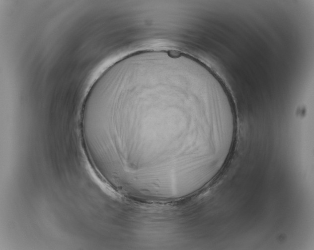 X0000114021429200910231827