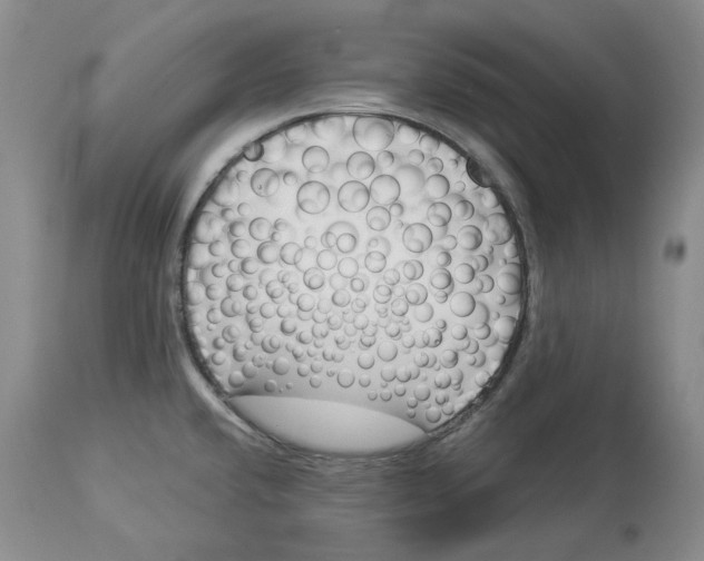 X0000114021432200910231827